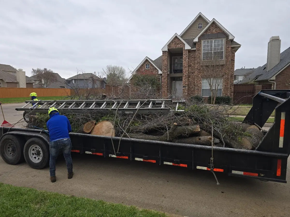 Expert Tree Fertilization with proper safety equipment in James City